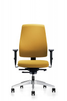 Goal 152G Drehstuhl mit Synchronmechanik und Gewichtsregulierung, Rückenlehne höhenverstellbar, Rückenlehnenhöhe: 530 mm Goal 152G Drehstuhl mit Synchronmechanik und Gewichtsregulierung, Rückenlehne höhenverstellbar, Rückenlehnenhöhe: 530 mm